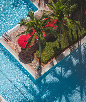 Pool deck and palms from above