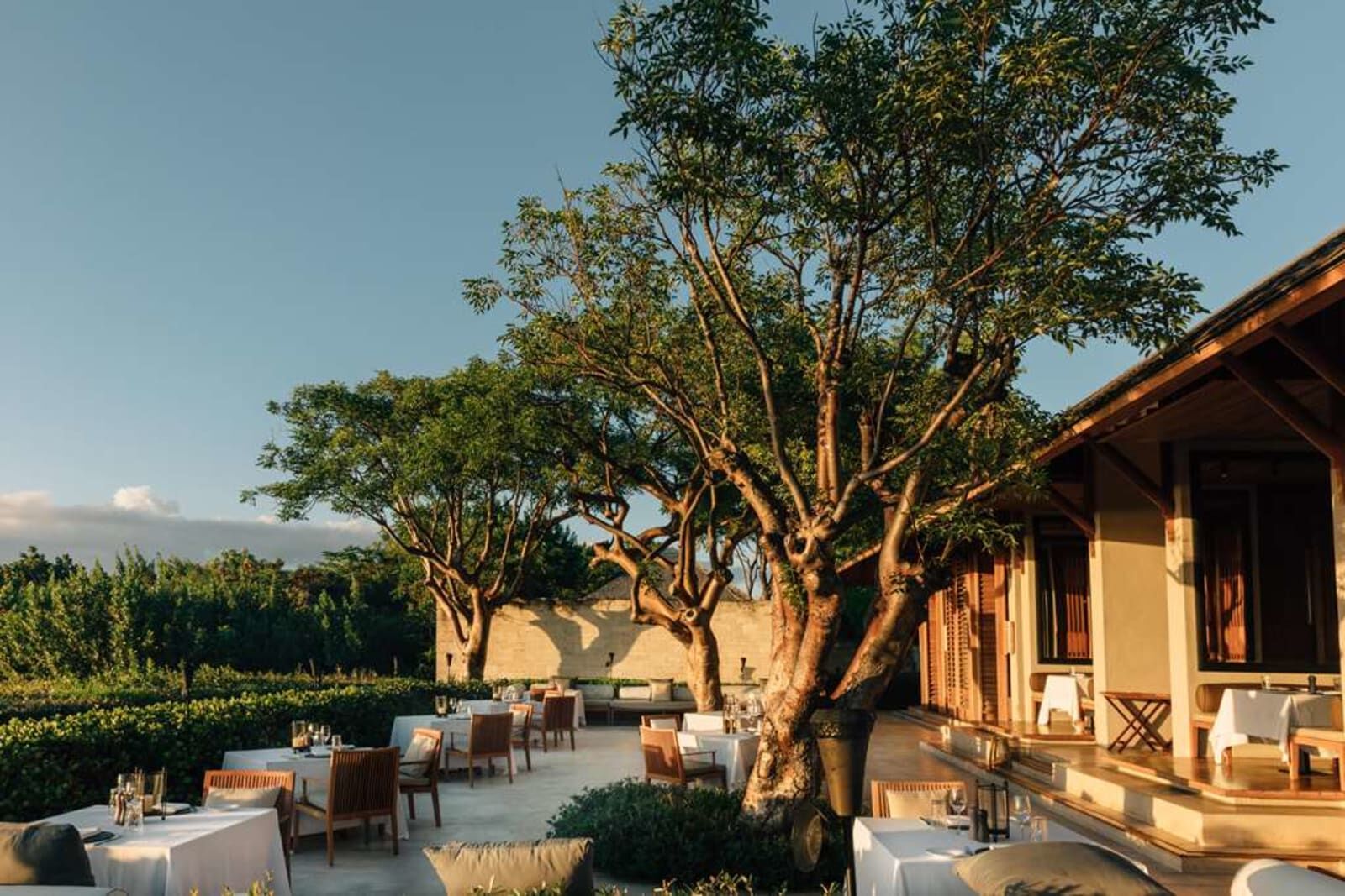 Dining terrace among the trees
