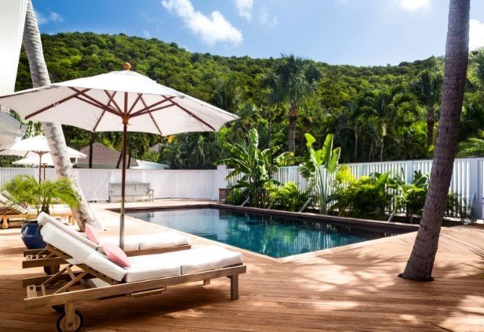Private pool deck with loungers among palms
