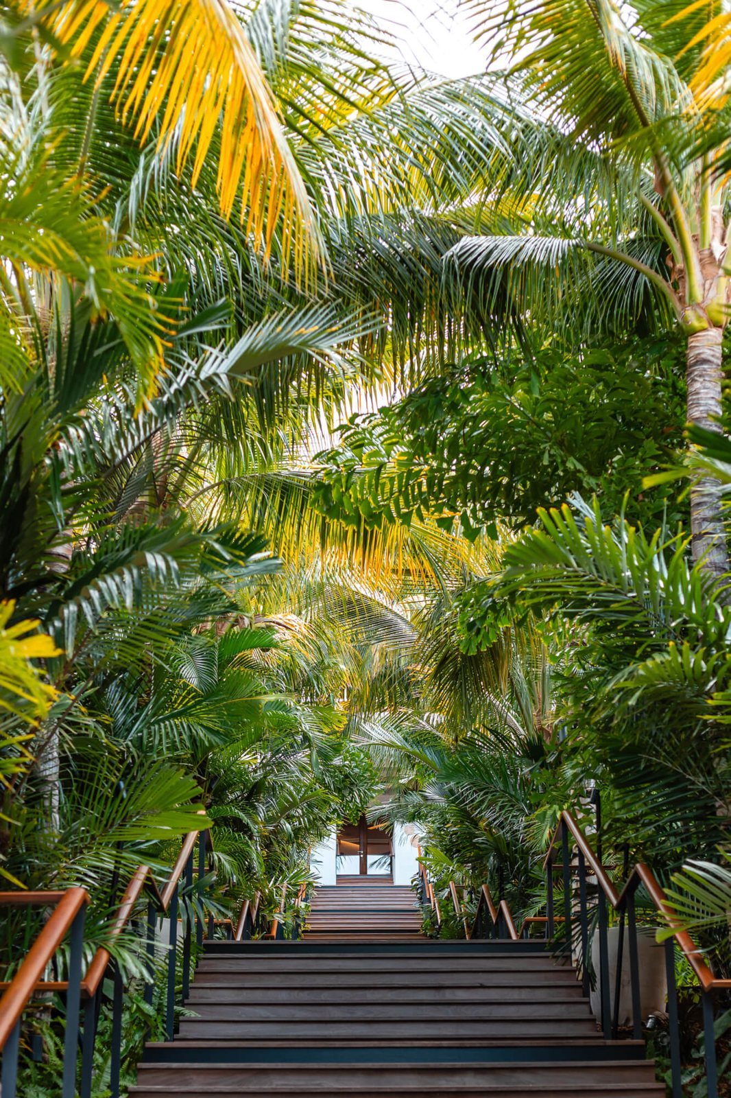 Tree-lined entrance
