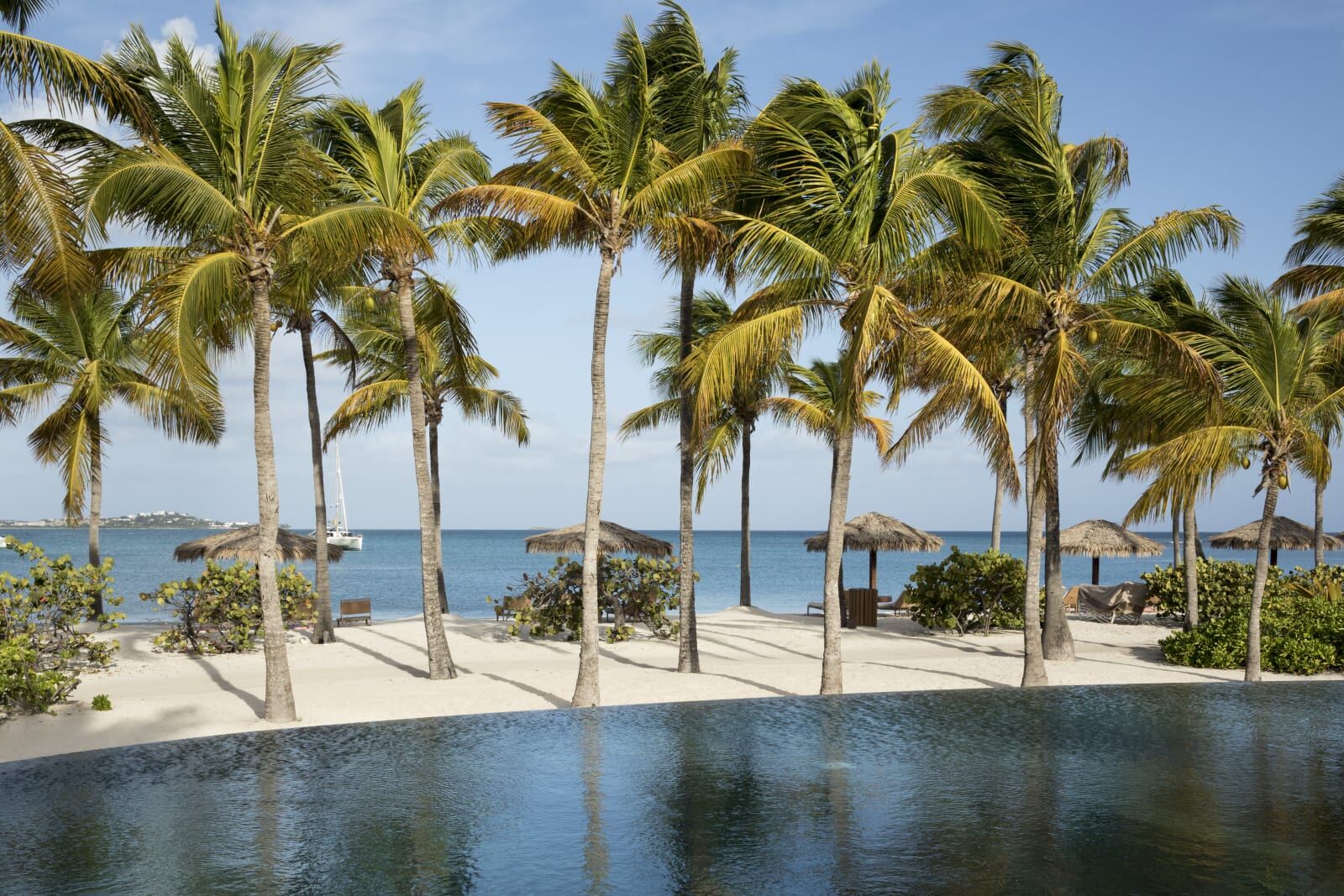 Infinity pool before palms and the beach