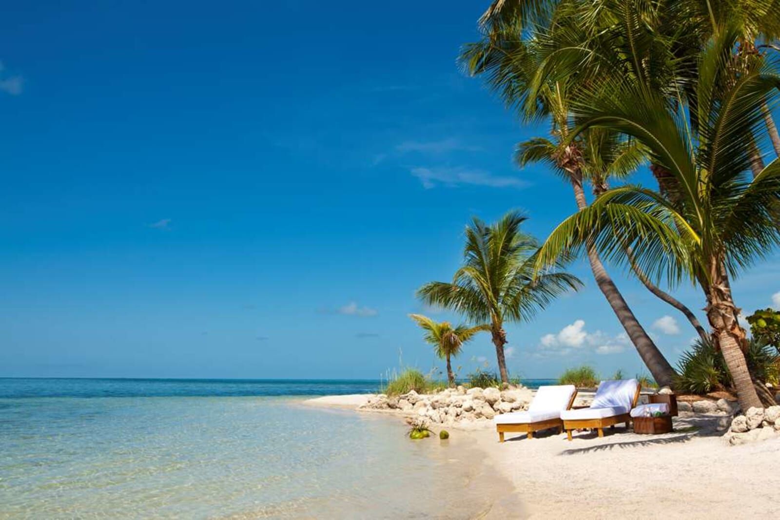 Beach with palms and loungers
