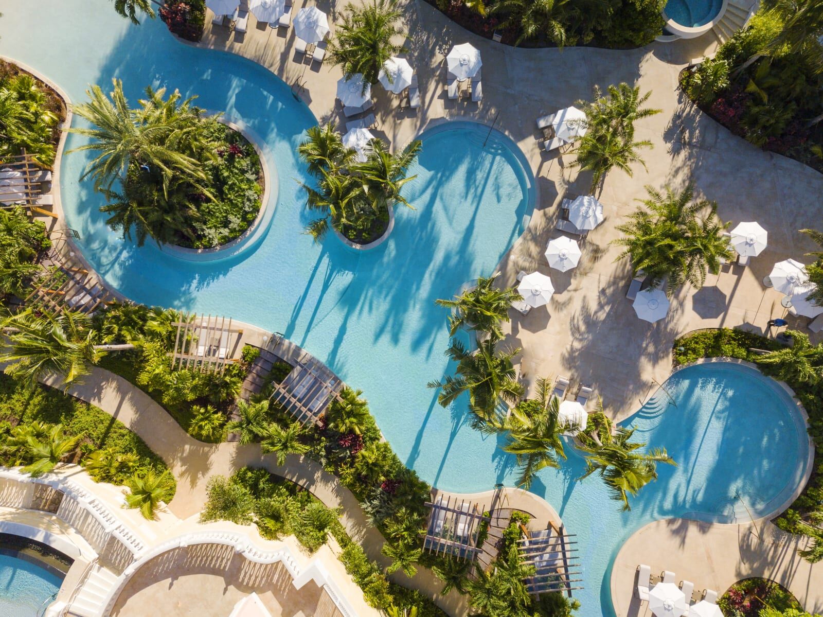 Winding lagoon pool from above