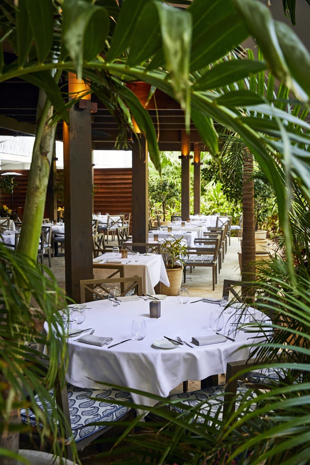 Restaurant terrace set for dinner among palms