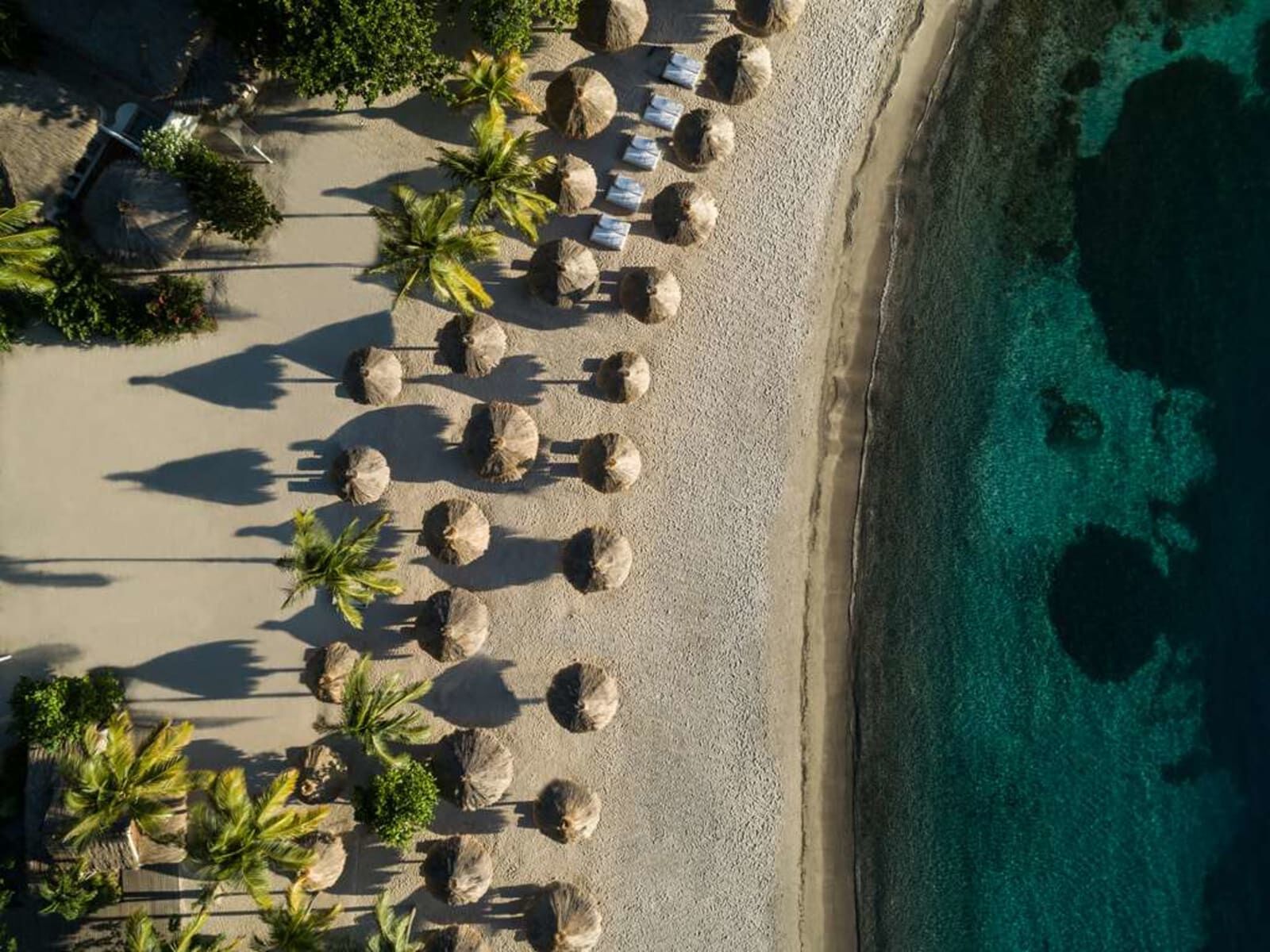 Beach parasols from directly above